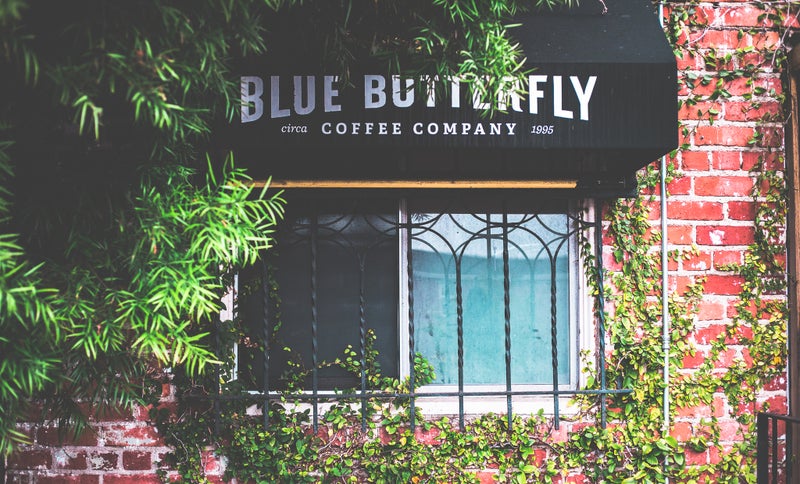 Blue Butterfly Coffee Co